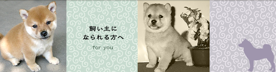 飼い主へなられる方へ