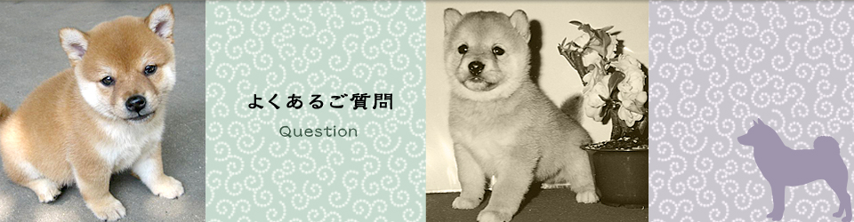 よくあるご質問